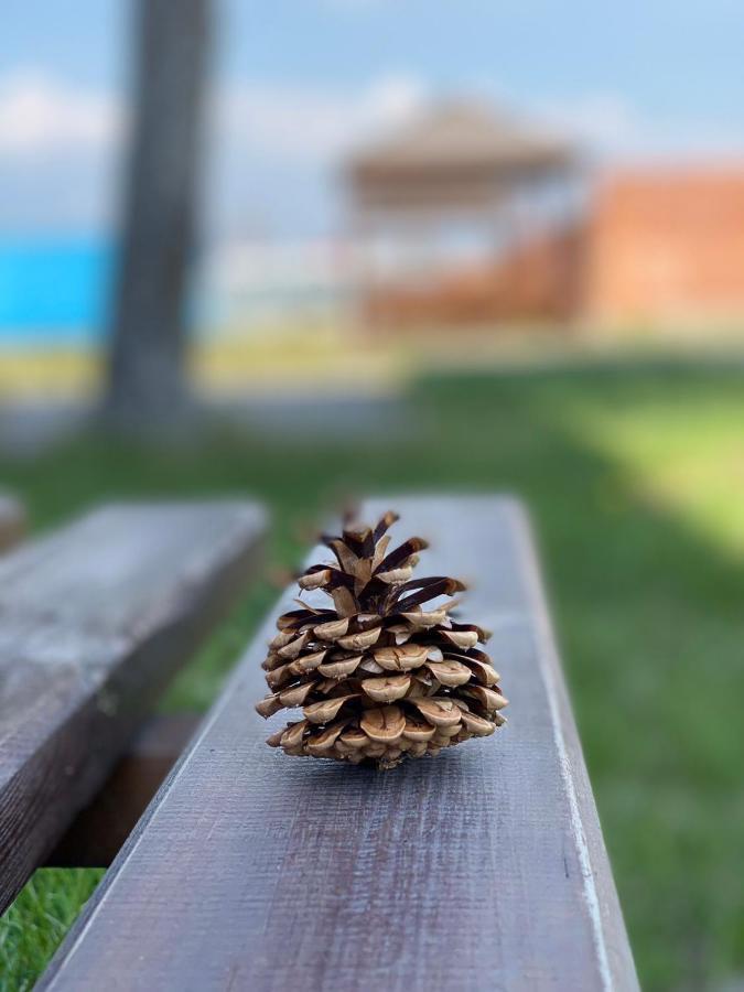 Пальмира Hotel Kobleve Esterno foto
